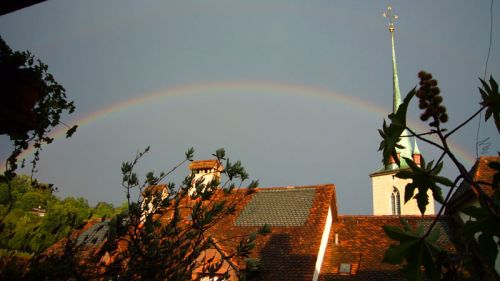 Klicken für Bild in voller Größe