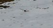 20061223-sedrun-0092.jpg