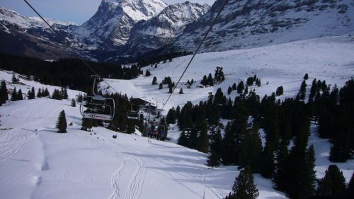 Arvengarten
