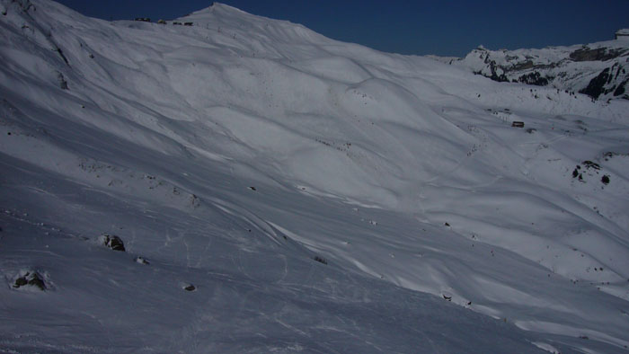 Nette Pisten hier zwischen Scheidegg und Männlichen! An der Sonne Sulz, sonst hart/nass, teils Pulver
