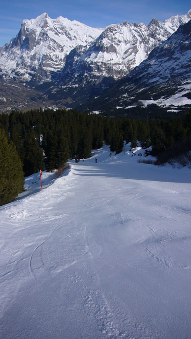 Piste Bärhag: Hart, teils eisig, aber mit guten Kanten machbar!
