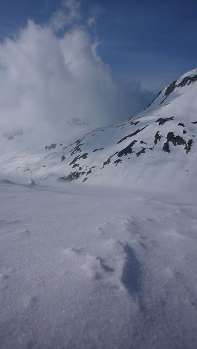 Bissiger Nordwestwind auf den Kuppen...
