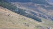 20070407-sedrun-30996.jpg