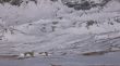 Dateiname=20071127-zermatt-080069.jpg
Dateigröße=93KB
Abmessungen: 800x450
hinzugefügt am: 27. November 2007 20071127-zermatt-080069.jpg