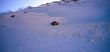 Dateiname=20071128-zermatt-00145.jpg
Dateigröße=84KB
Abmessungen: 800x379
hinzugefügt am: 28. November 2007 20071128-zermatt-00145.jpg