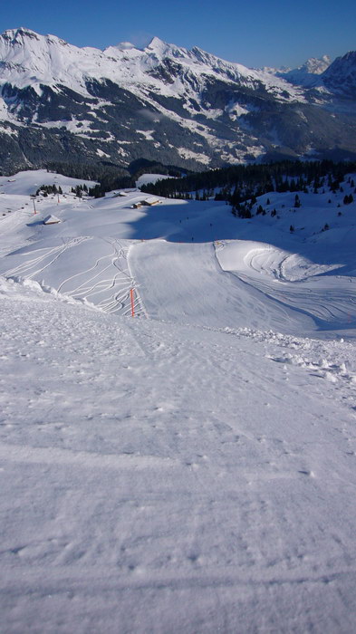 Distelboden: Noch etwas ruppig, da es nicht wirklich suuuperviel Schnee hat - aber tollzum fahren
