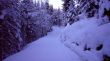 20071215-wengen-scheidegg-0449.jpg