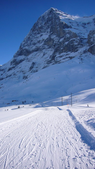13. Januar 2008
