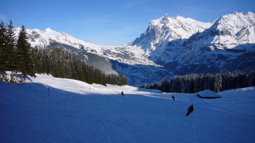 Tschuggen-Piste nach Grindelwald, eine traumhafte Alternative zu den überfüllten und unruhigen Pisten weiter oben
