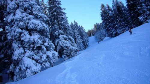 Tschuggen-Piste nach Grindelwald, 13. Januar 2008: Herrlich!
