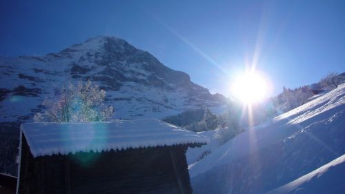 Talabfahrt nach Grindelwald, 13. Januar 2008
