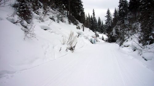 Mettlen-Piste: Da hats noch Schnee...
