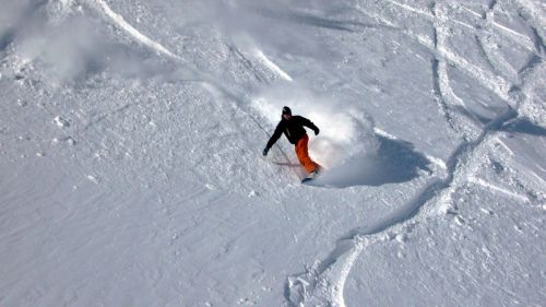 22. März 2008
