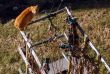 20080315-sedrun-0846.jpg
