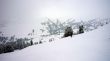 20080412-wengen-00475.jpg