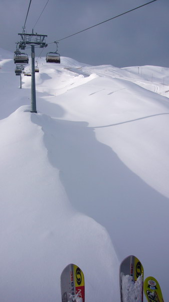 7. Dezember 2008
