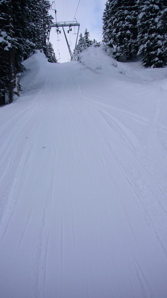 7. Dezember 2008

