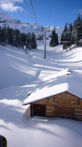 7. Dezember 2008
