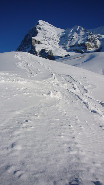 7. Dezember 2008

