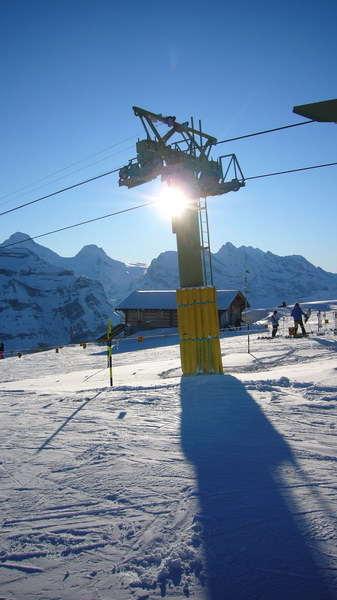 7. Dezember 2008
