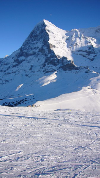 7. Dezember 2008
