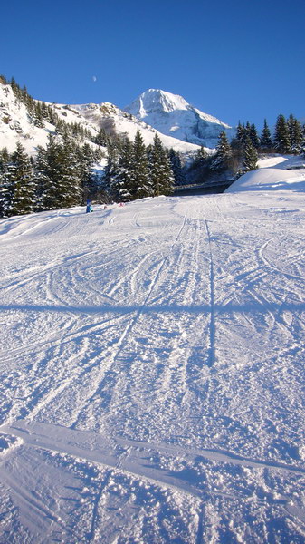 7. Dezember 2008
