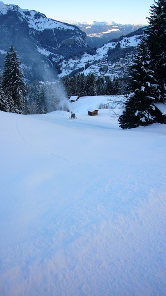 7. Dezember 2008
