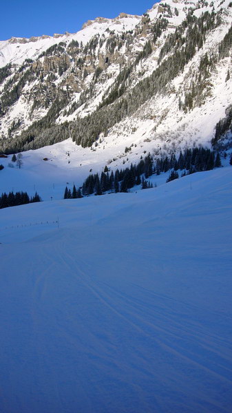 Talabfahrt nach Wengen: Problemlos
