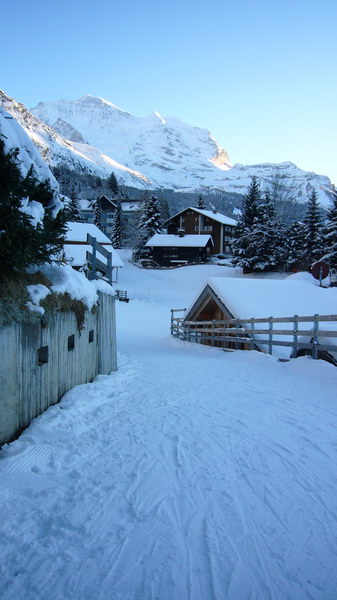 7. Dezember 2008
