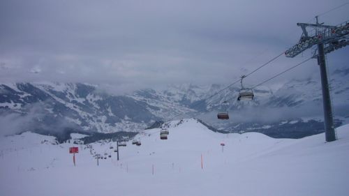 7. Dezember 2008
