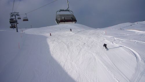 7. Dezember 2008
