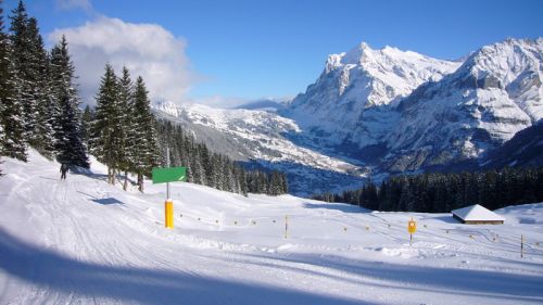 7. Dezember 2008
