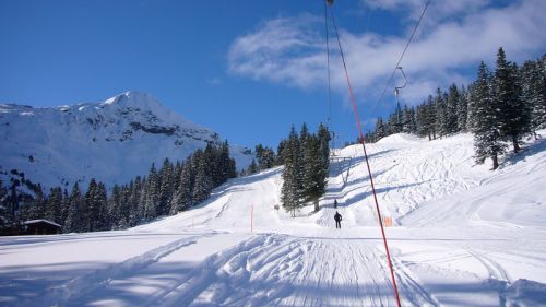 7. Dezember 2008

