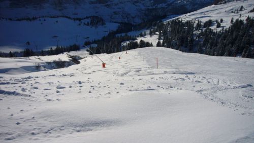 7. Dezember 2008
