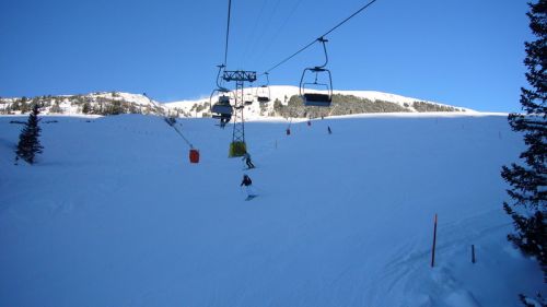 7. Dezember 2008
