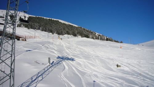 7. Dezember 2008
