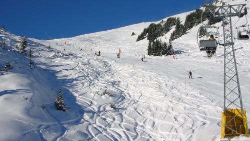 7. Dezember 2008
