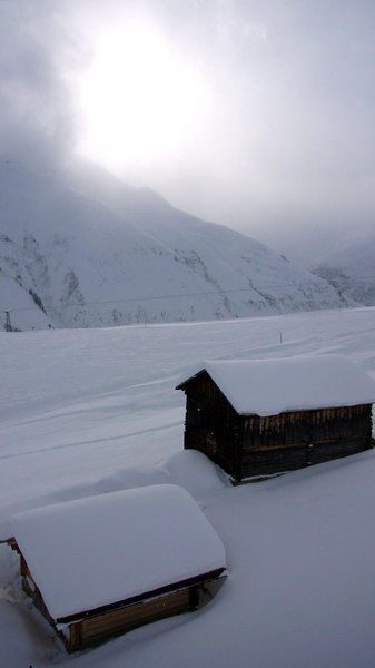 13. Dezember 2008
