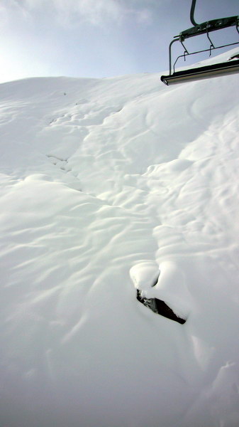 13. Dezember 2008
