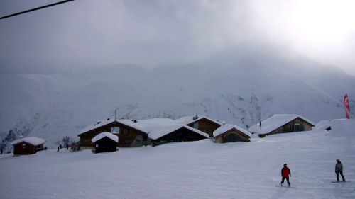 13. Dezember 2008
