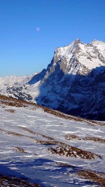 9. Januar 2009
