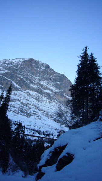 11. Januar 2009
