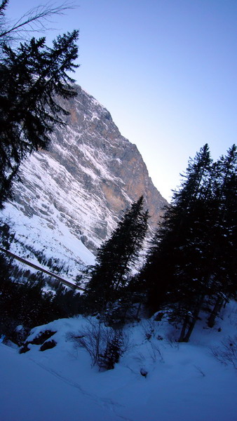 11. Januar 2009
