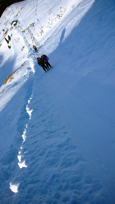 17. Januar 2009
