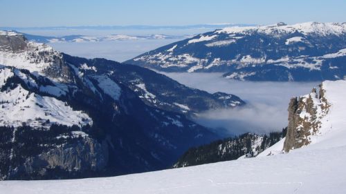 Samstag, 10. Januar 2009
