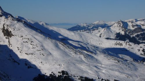 10. Januar 2009
