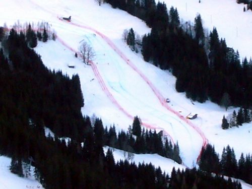 Der Renntag: Samstag, 17. Januar 2009
