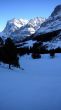 20090111-wengen-0593.jpg
