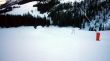 20090111-wengen-0594.jpg