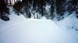 20090111-wengen-0595.jpg